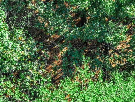 000 County Road 4105 Daingerfield TX 75638