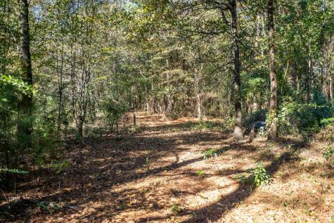 000 County Road 4105 Daingerfield TX 75638