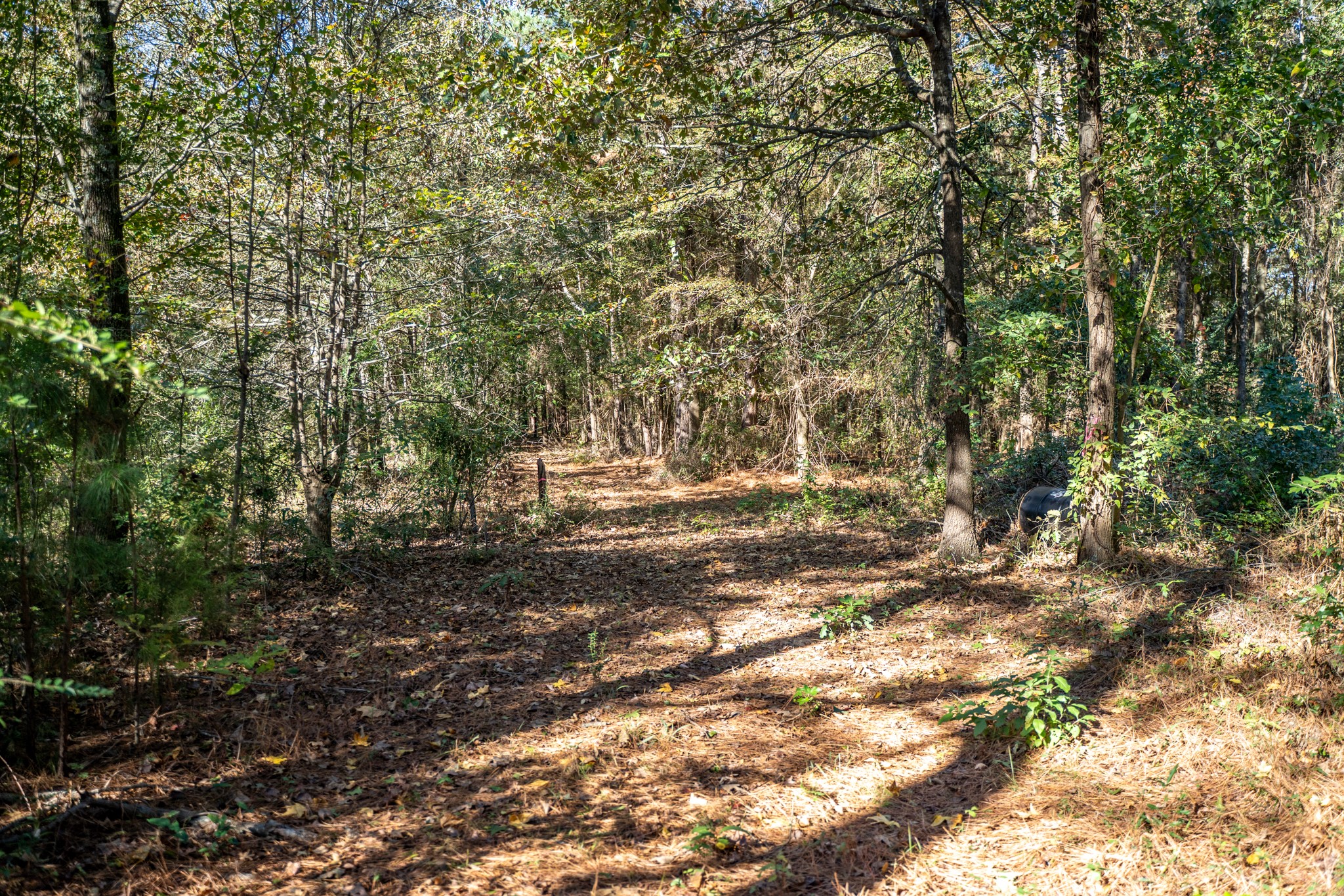 000 County Road 4105 Daingerfield TX 75638
