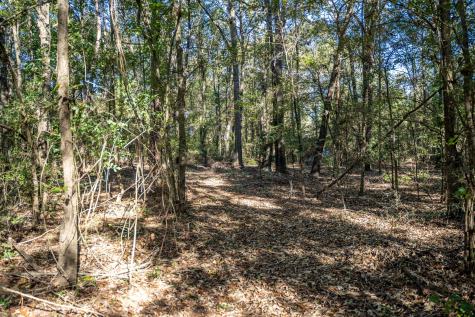 000 County Road 4105 Daingerfield TX 75638