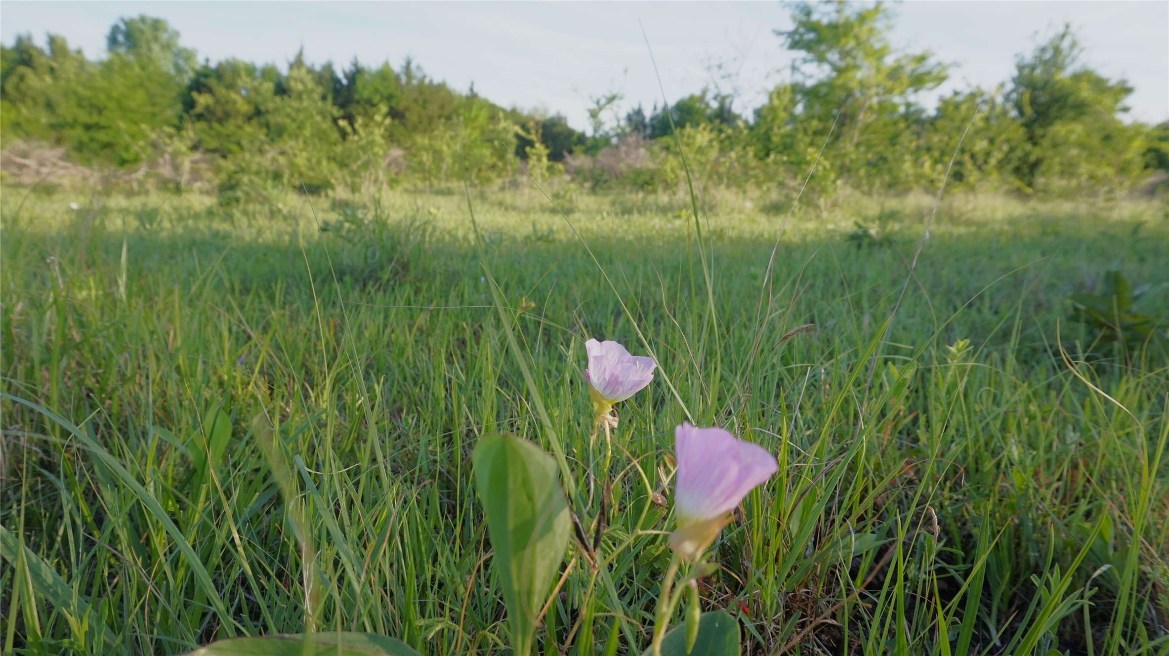 Tbd Lot 1-2 Adams Road Sherman TX 75090