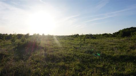 Tbd Lot 1-2 Adams Road Sherman TX 75090