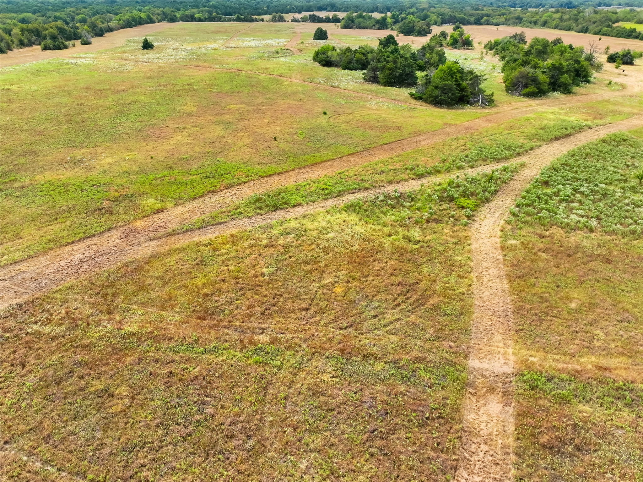 Tbd County Road 1038 Celeste TX 75423