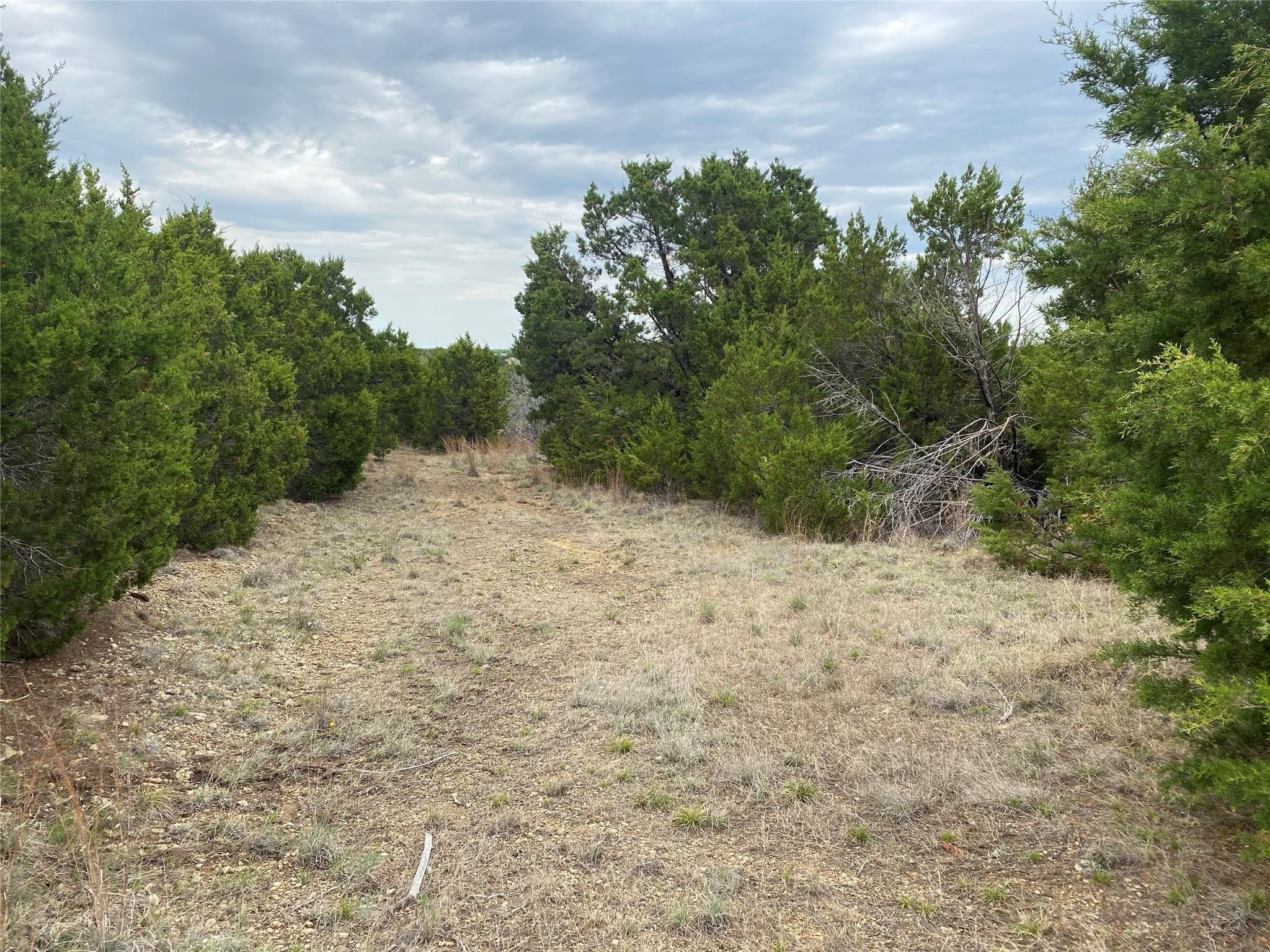 1011 Enchanted Rock Court Graford TX 76449