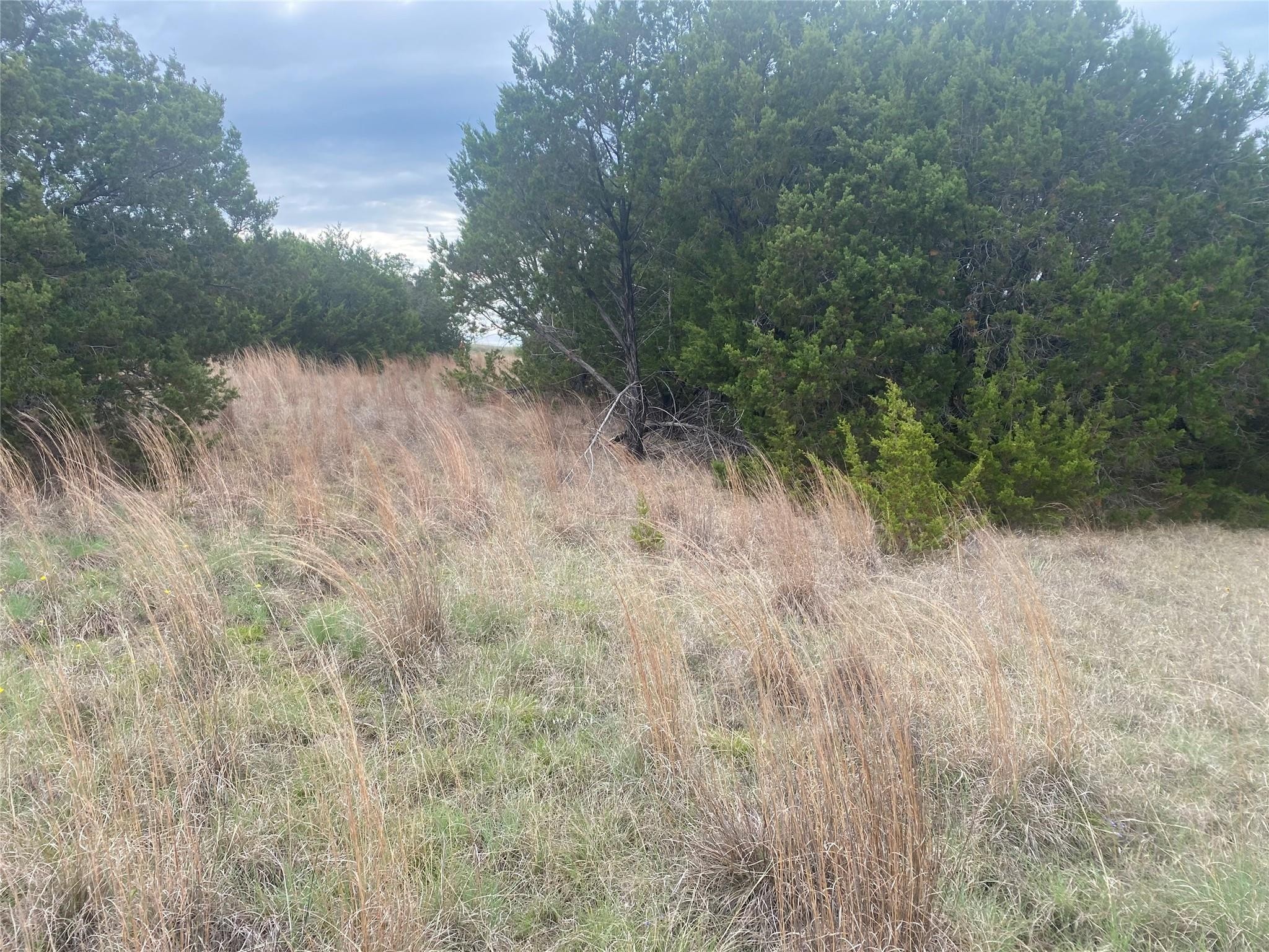 1011 Enchanted Rock Court Graford TX 76449