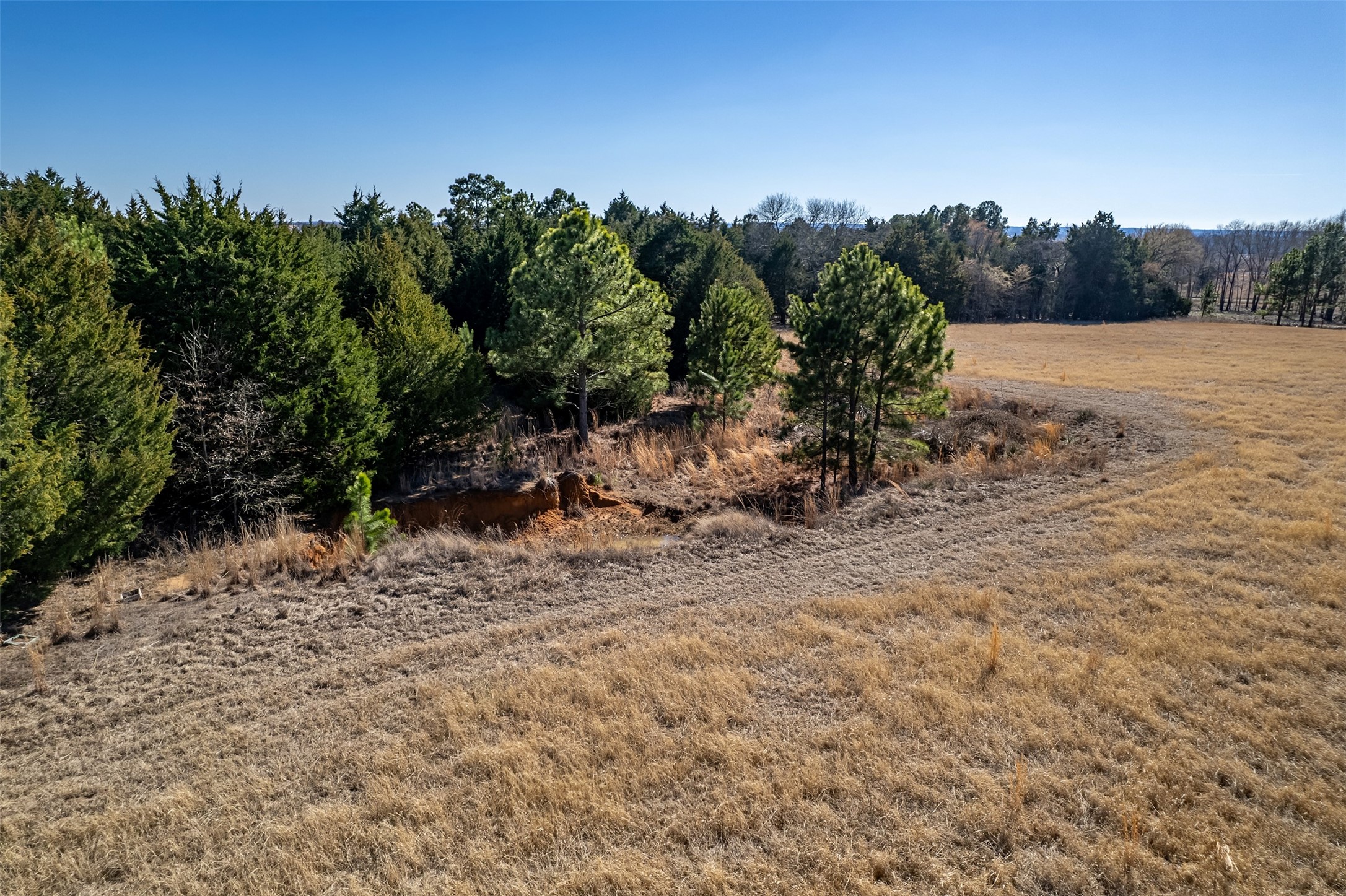 Tbd Fm 2339 Murchison TX 75778