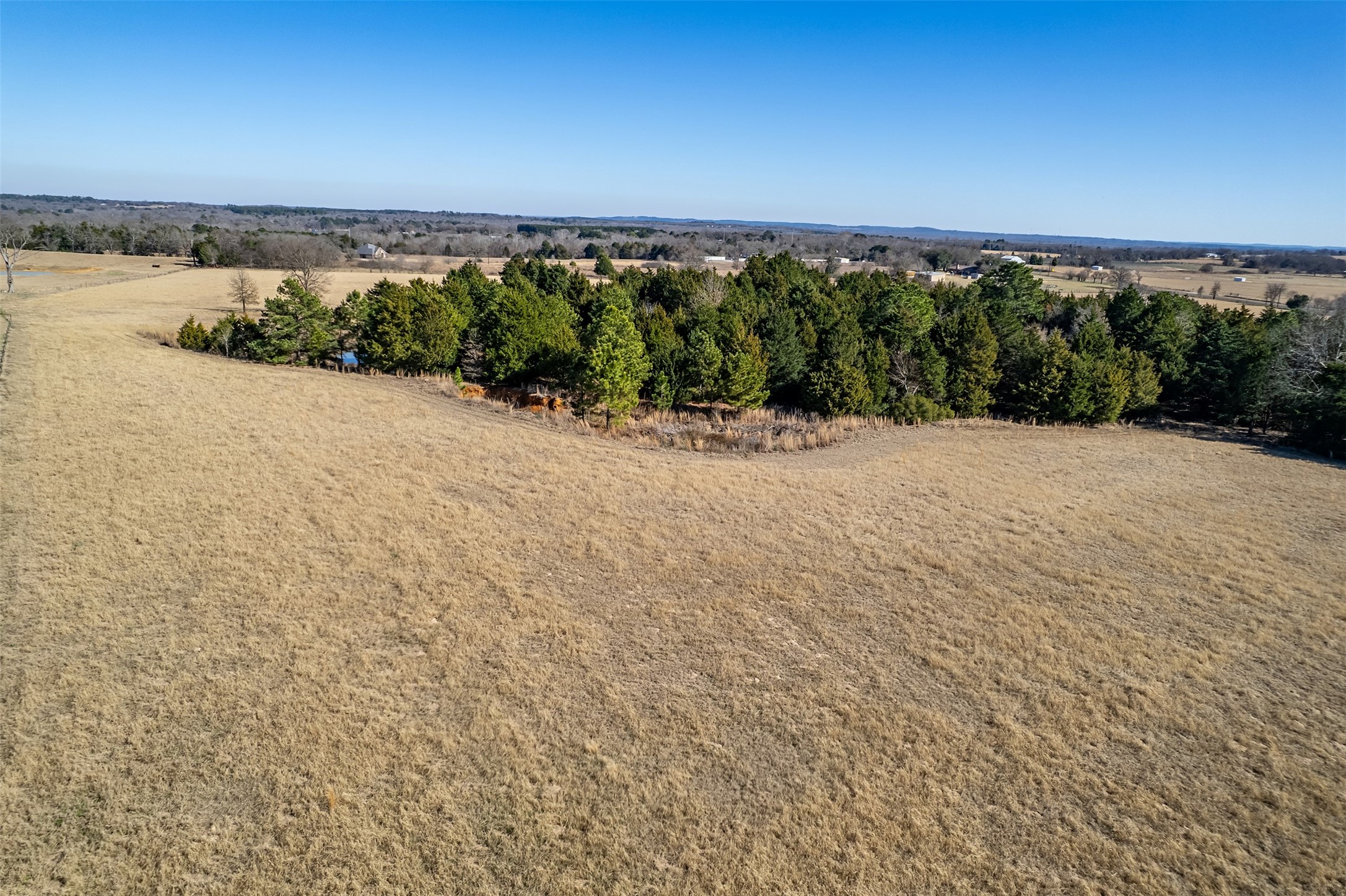 Tbd Fm 2339 Murchison TX 75778