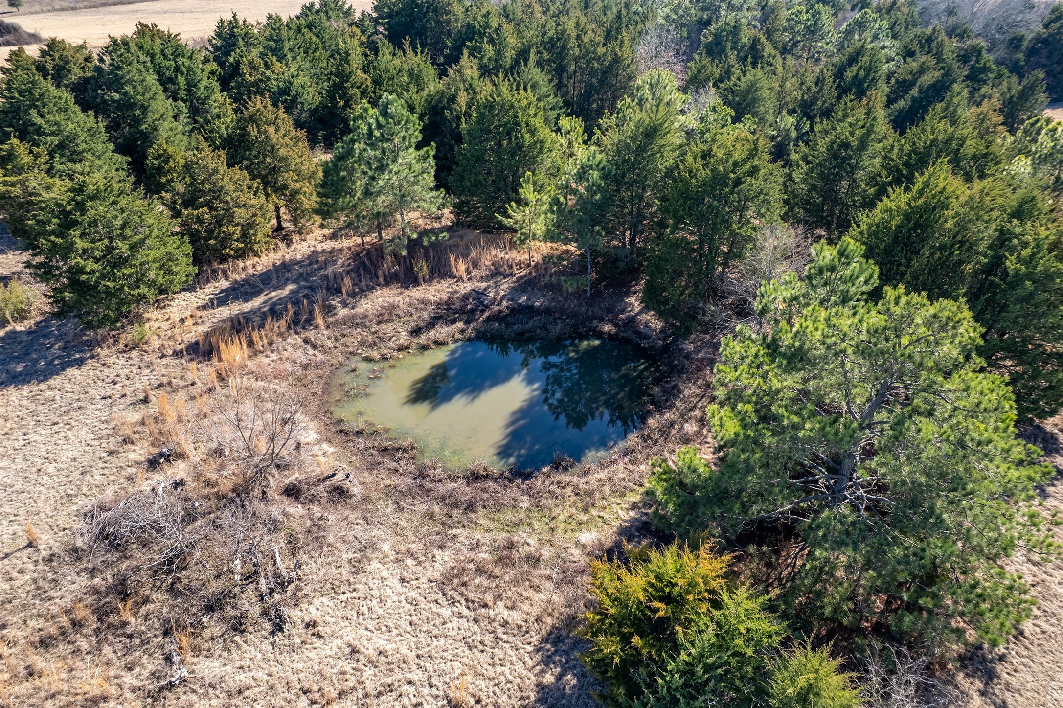 Tbd Fm 2339 Murchison TX 75778