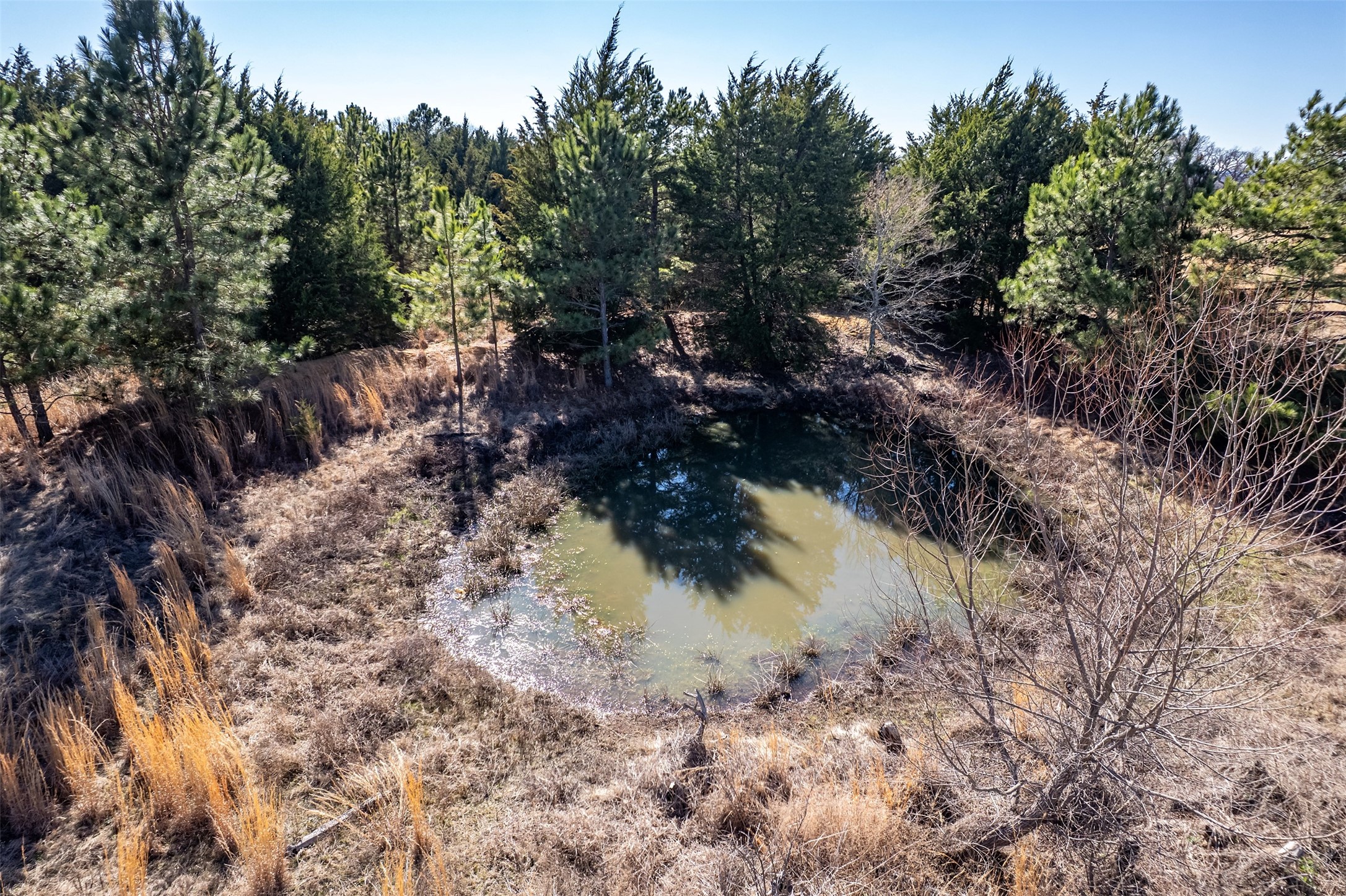 Tbd Fm 2339 Murchison TX 75778