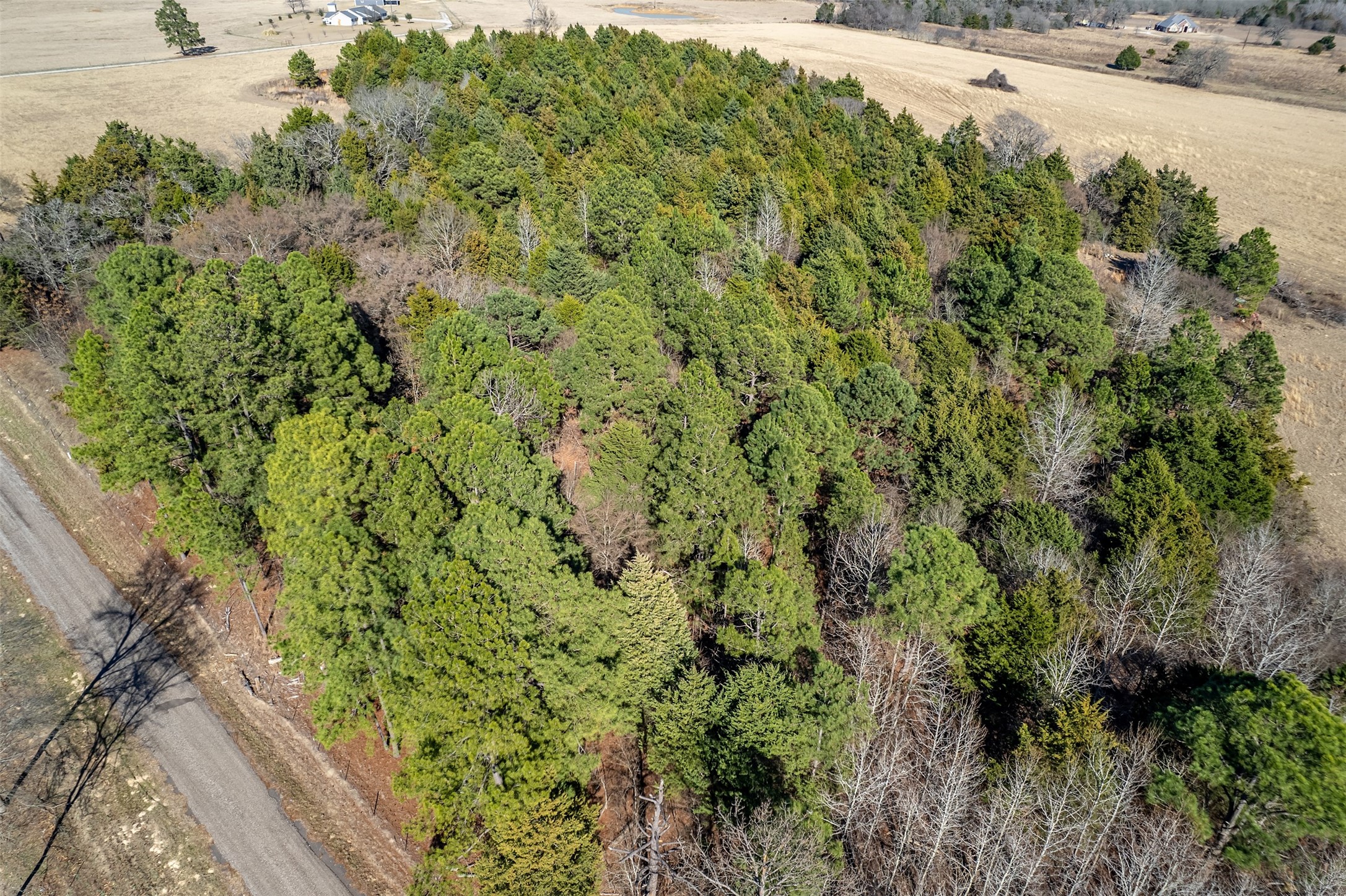 Tbd Fm 2339 Murchison TX 75778