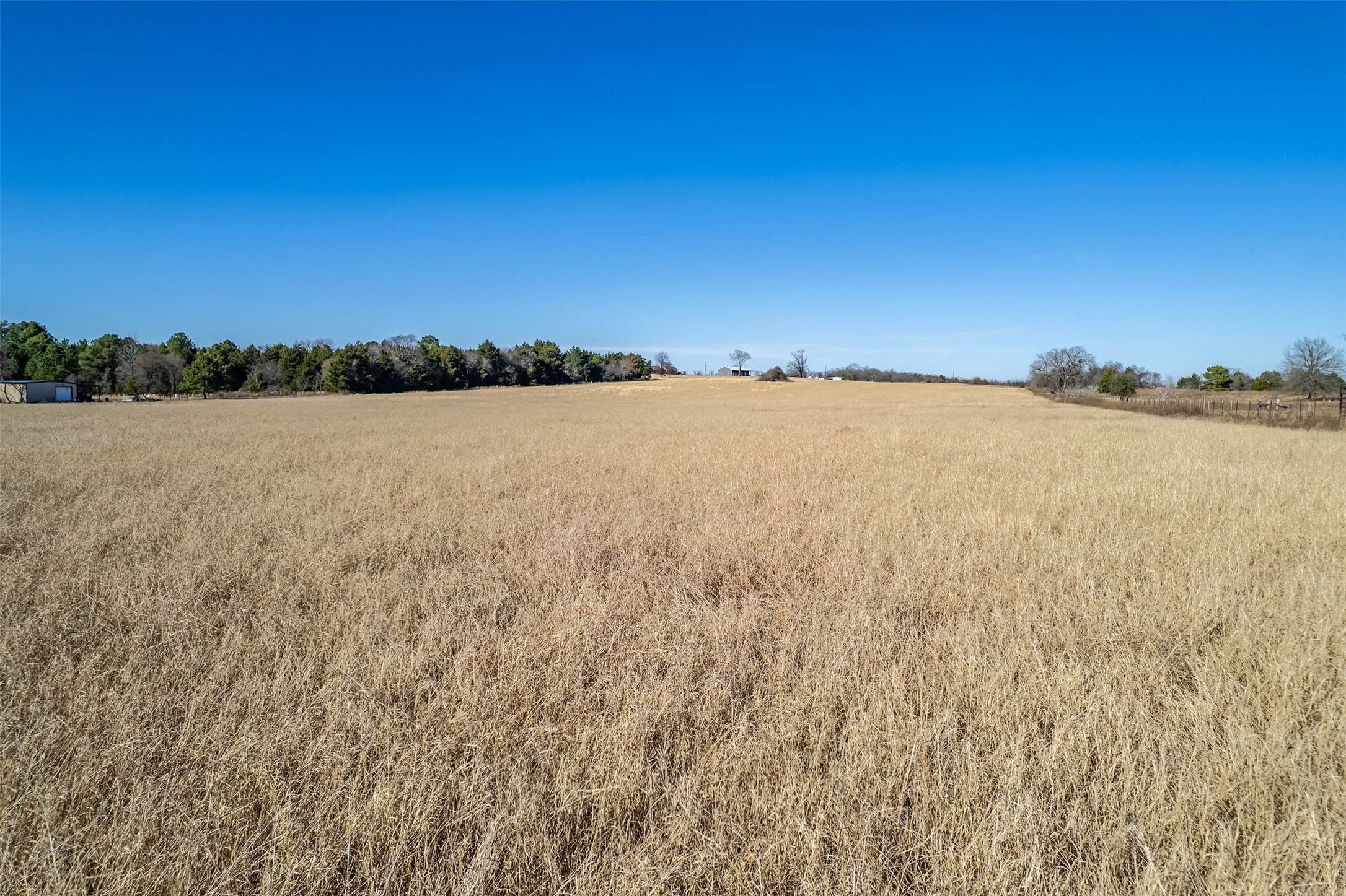 Tbd Fm 2339 Murchison TX 75778