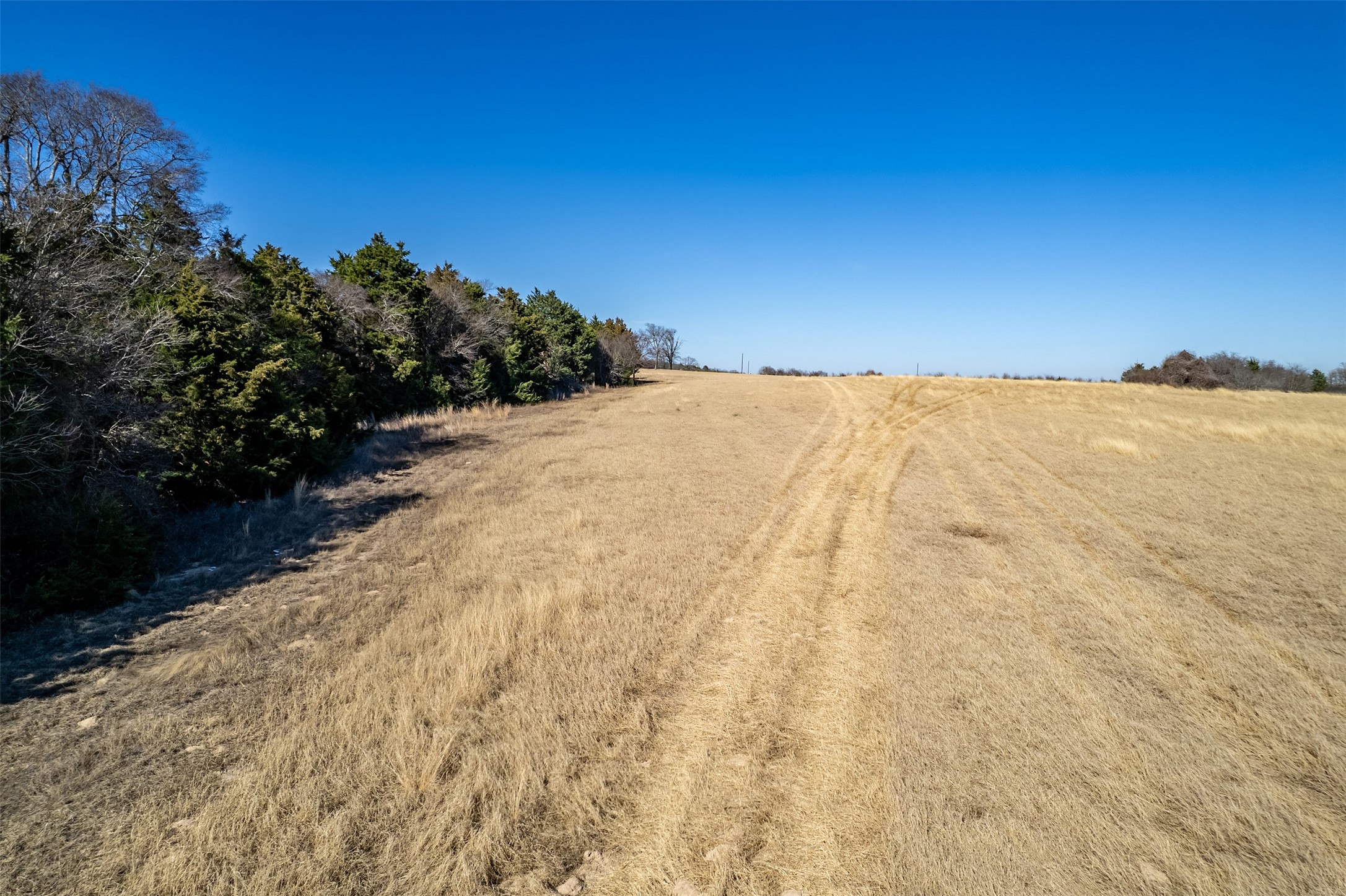 Tbd Fm 2339 Murchison TX 75778