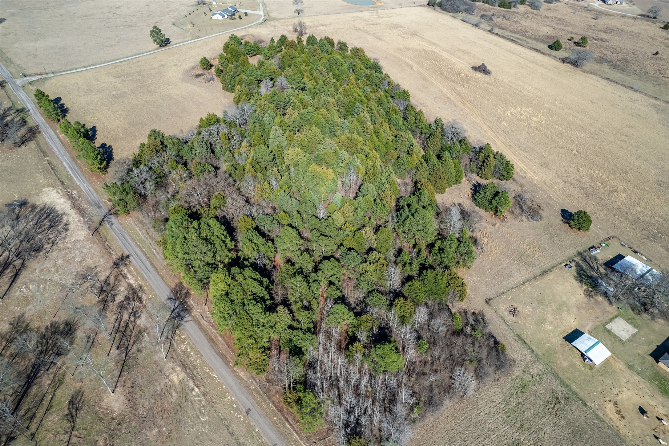 Tbd Fm 2339 Murchison TX 75778