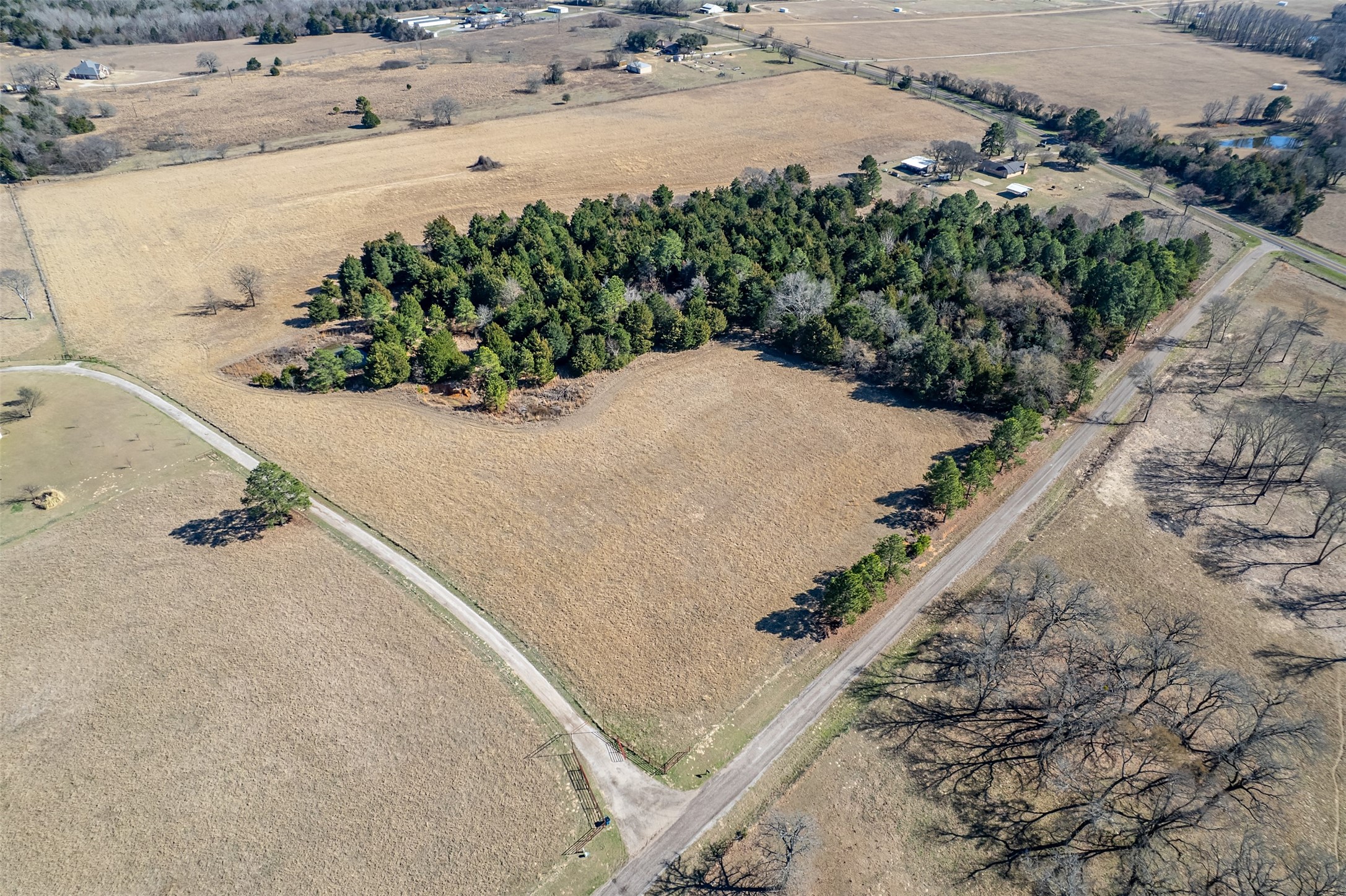 Tbd Fm 2339 Murchison TX 75778
