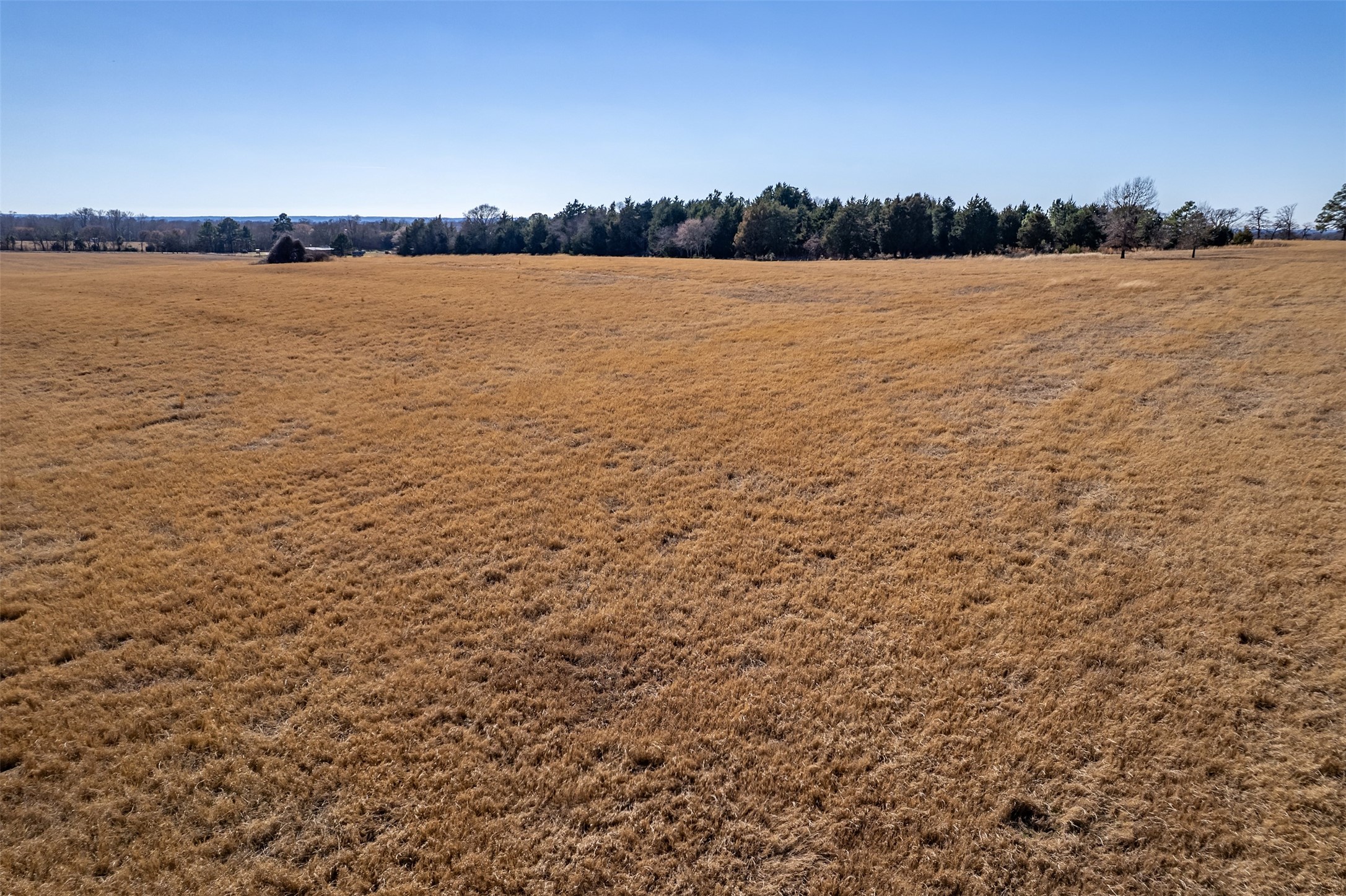 Tbd Fm 2339 Murchison TX 75778