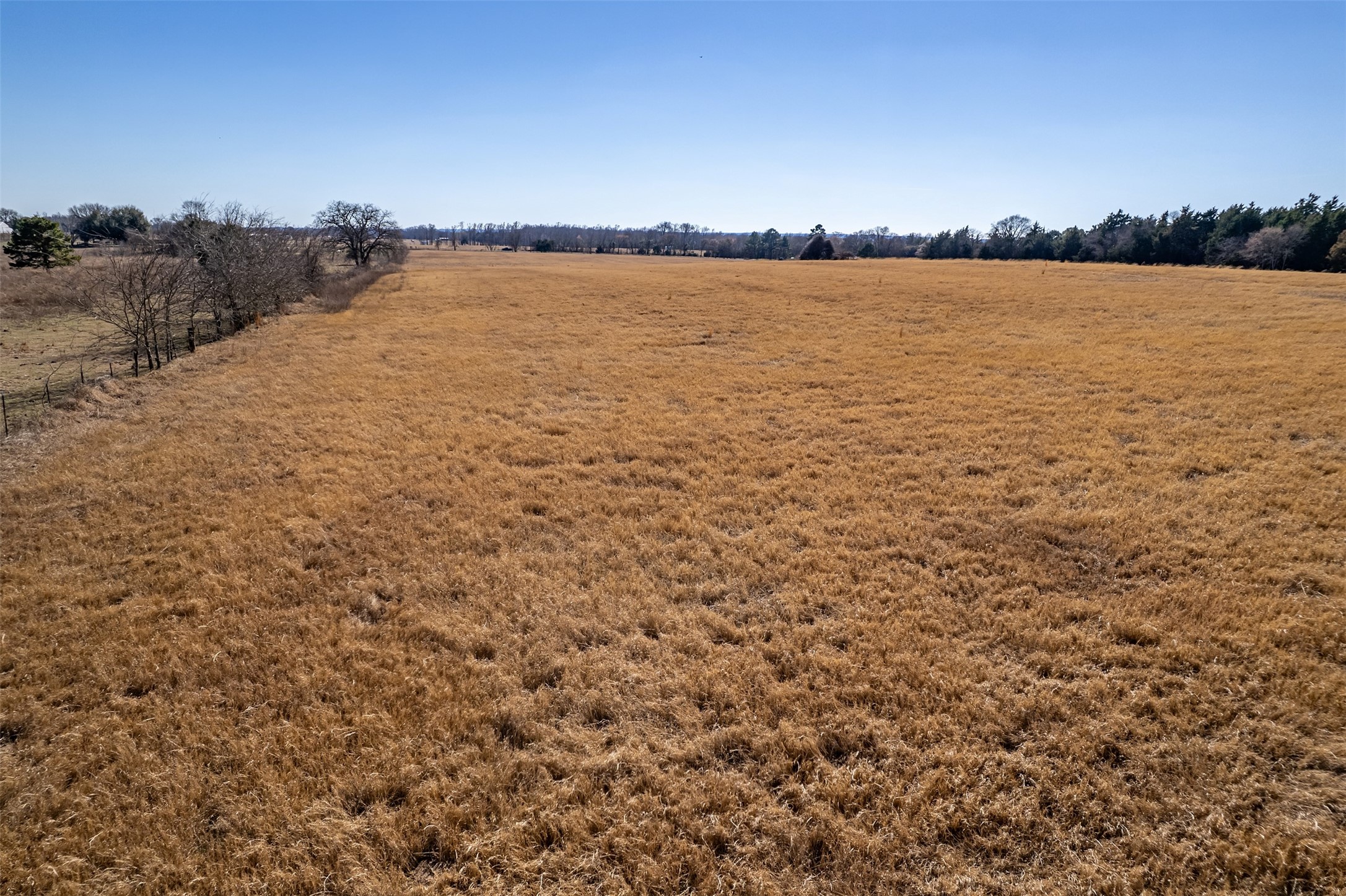 Tbd Fm 2339 Murchison TX 75778