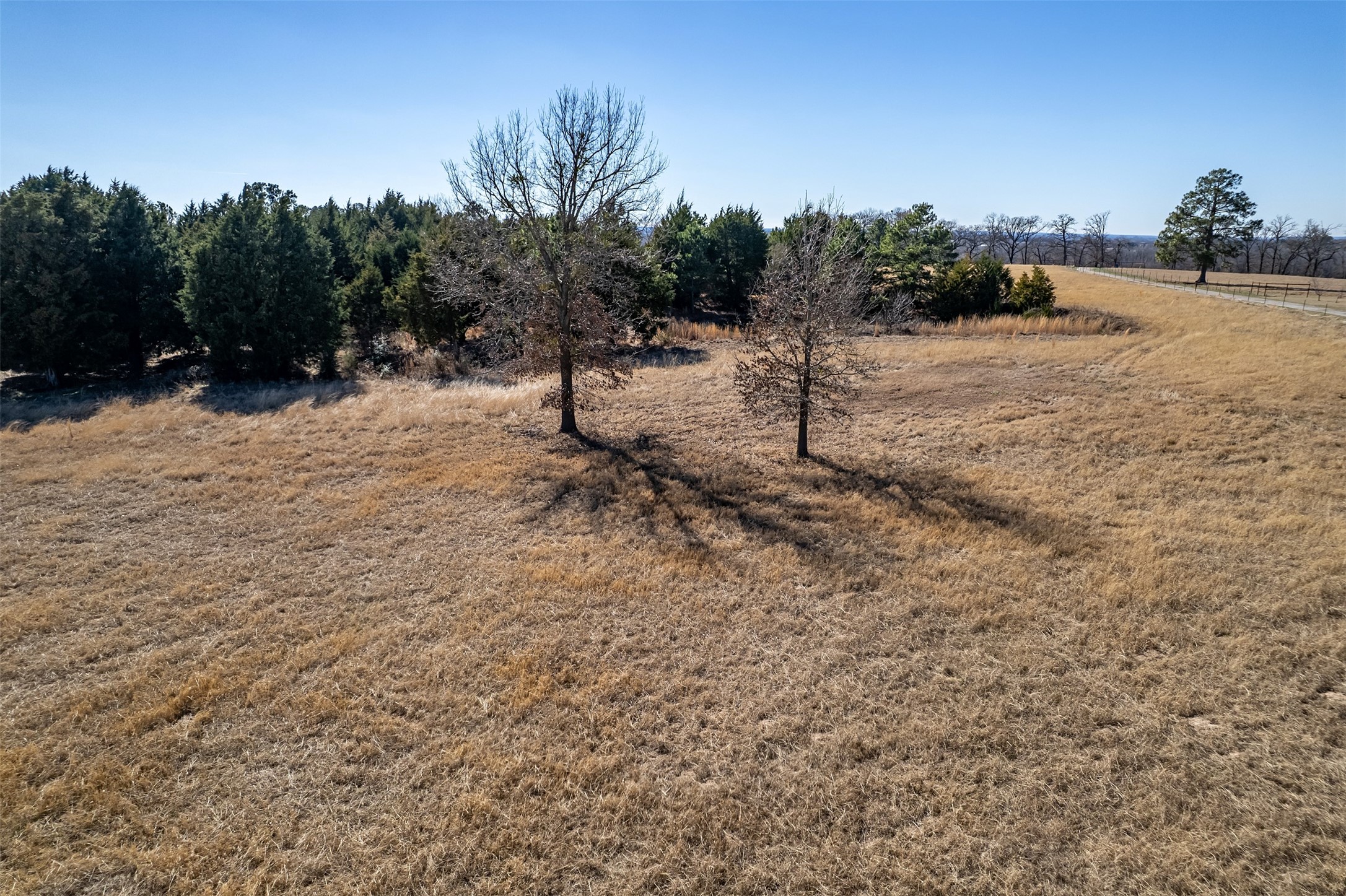 Tbd Fm 2339 Murchison TX 75778