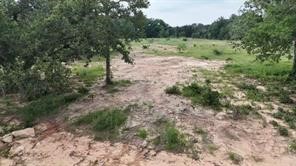 Tbd Cr 2030 Lot 8 Glen Rose TX 76043
