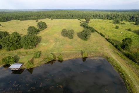 Lake Country (Lot 14) Tx-77 Atlanta TX 75551
