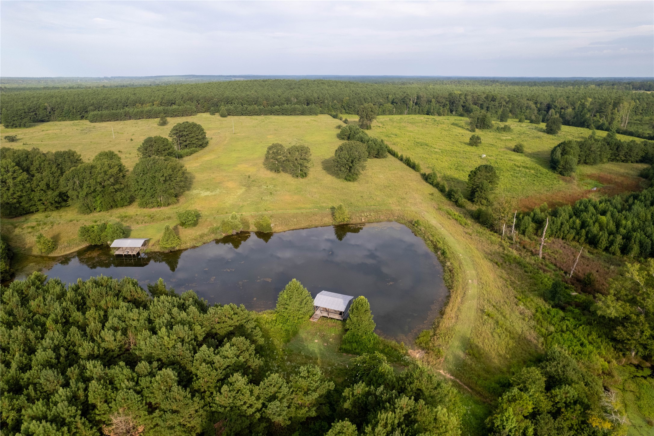 Lake Country (Lot 14) Tx-77 Atlanta TX 75551