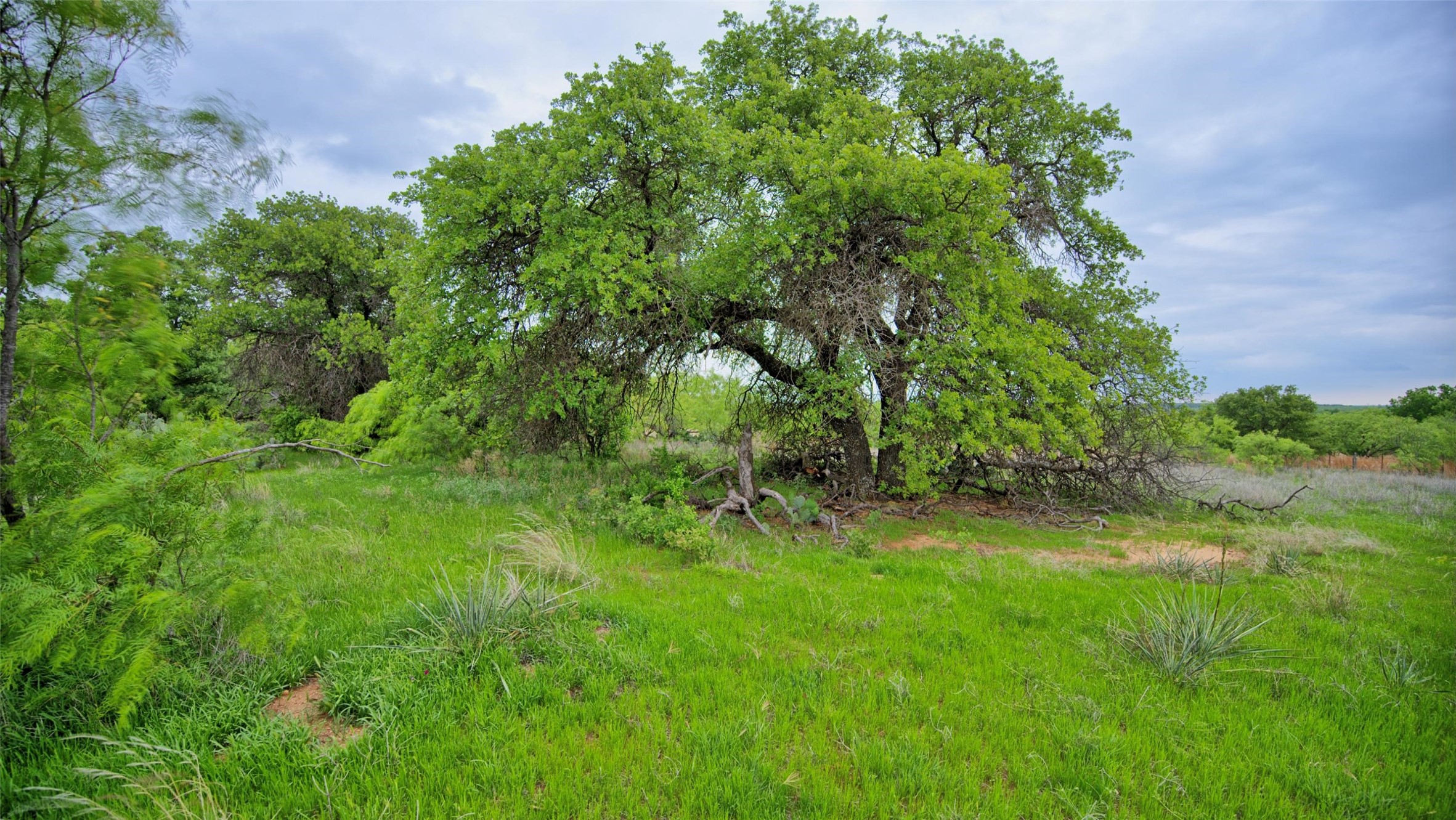 0 Watson Henrietta TX 76365