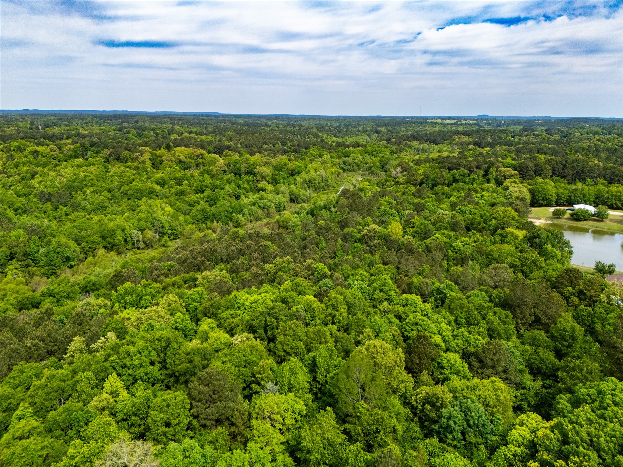 Tbd White Oak Road Big Sandy TX 75755