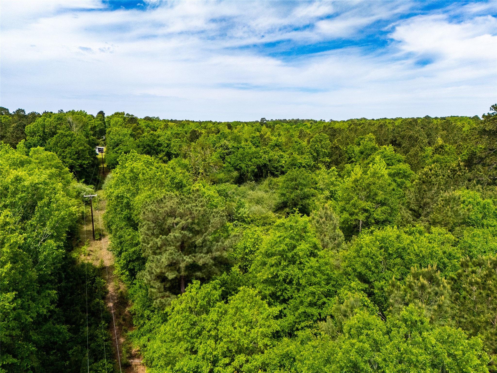 Tbd White Oak Road Big Sandy TX 75755