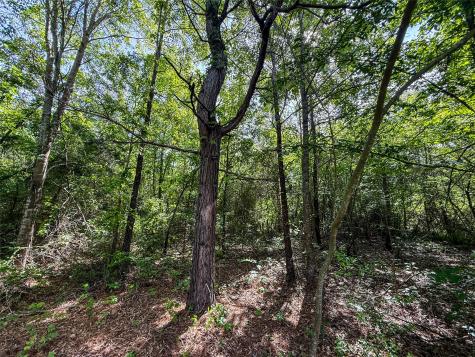 Tbd White Oak Road Big Sandy TX 75755