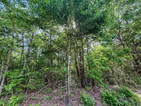 Tbd White Oak Road Big Sandy TX 75755