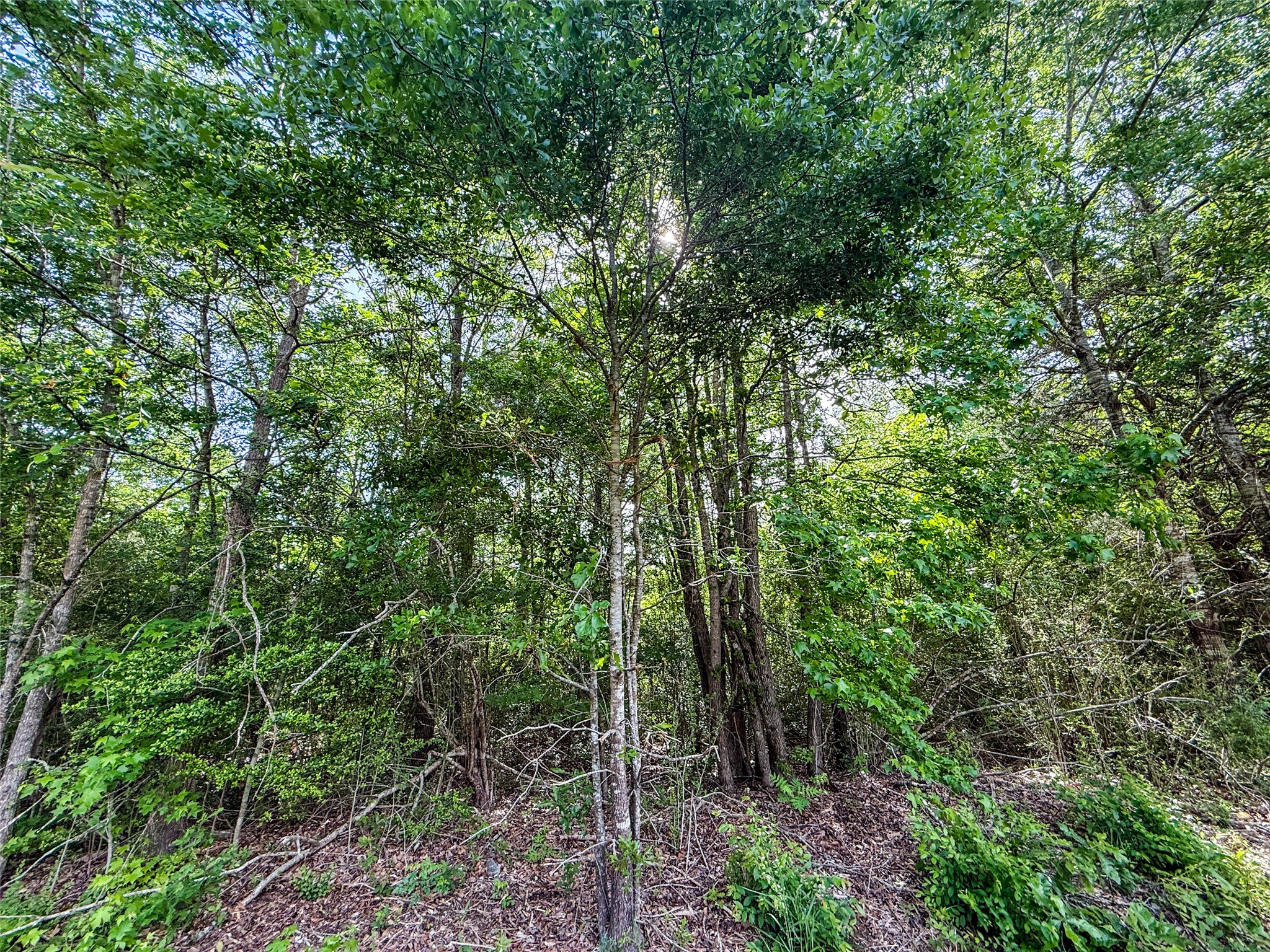 Tbd White Oak Road Big Sandy TX 75755