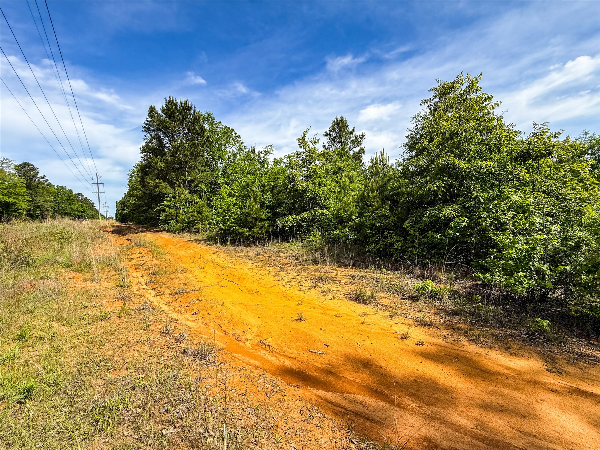 Tbd White Oak Road Big Sandy TX 75755