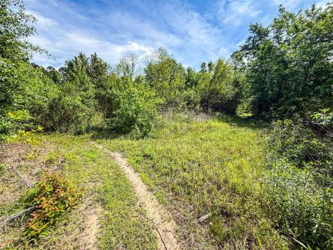 Tbd White Oak Road Big Sandy TX 75755