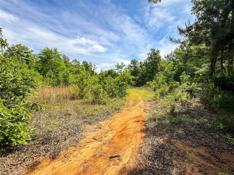 Tbd White Oak Road Big Sandy TX 75755