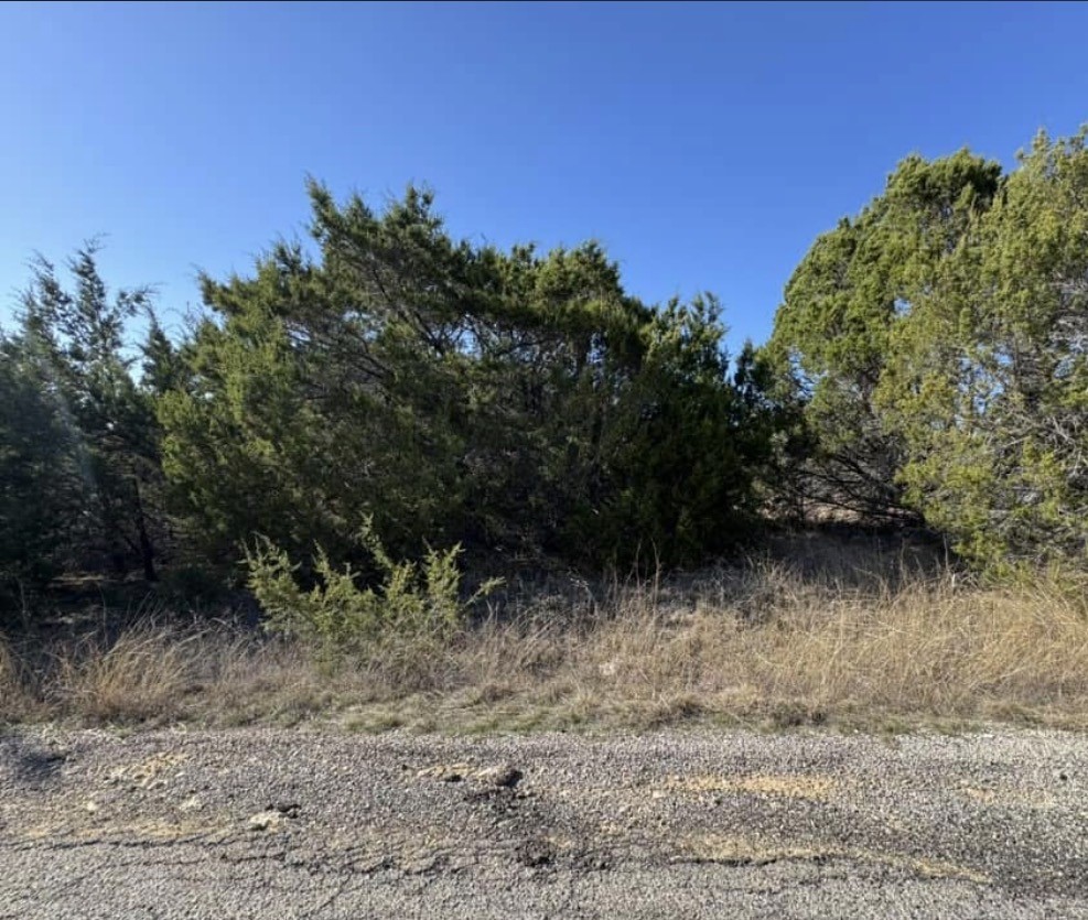4711 Evening View Drive Granbury TX 76048