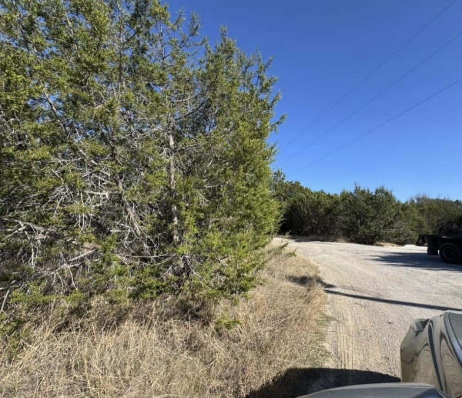 4711 Evening View Drive Granbury TX 76048