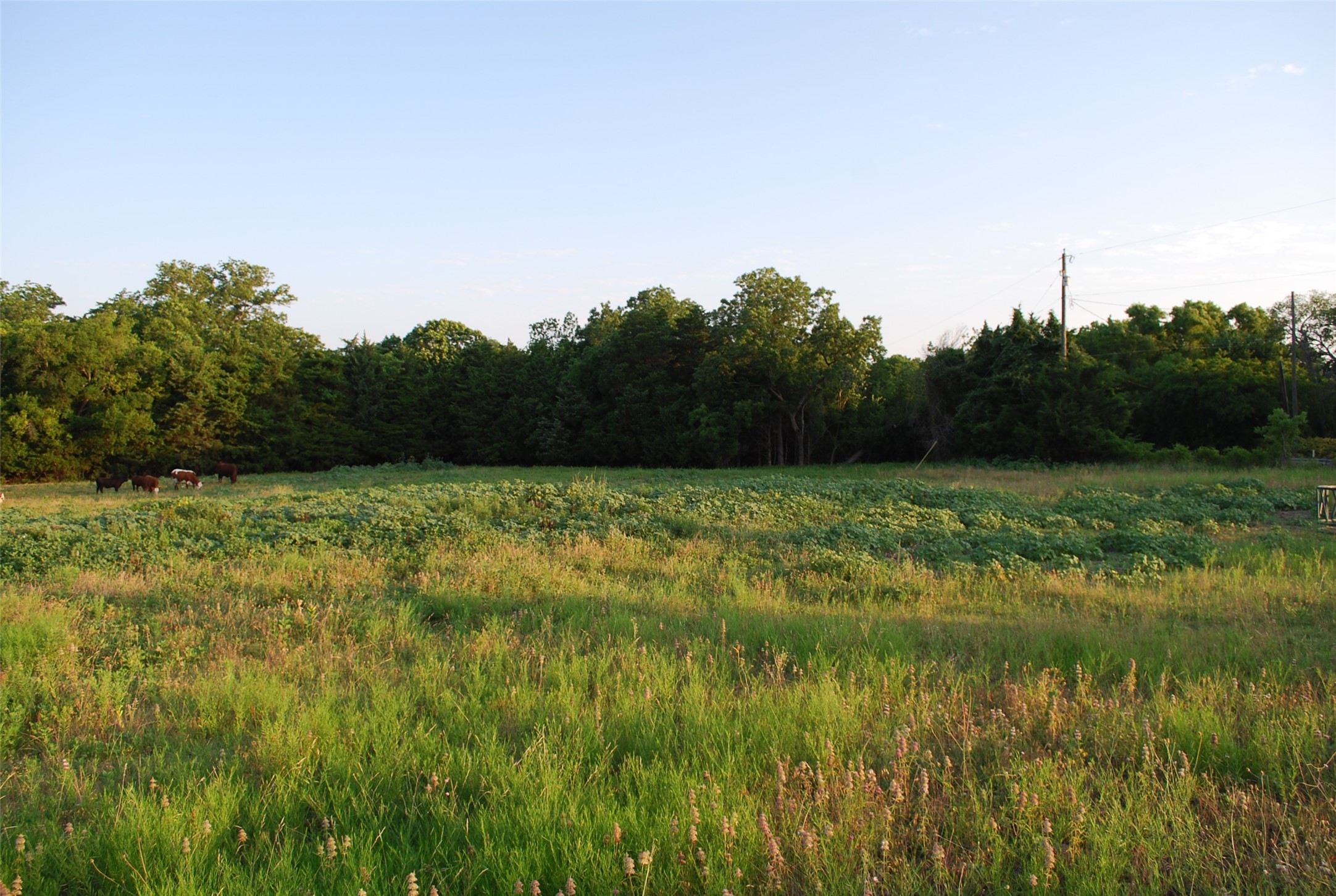 321 Smirl Lane Heath TX 75032
