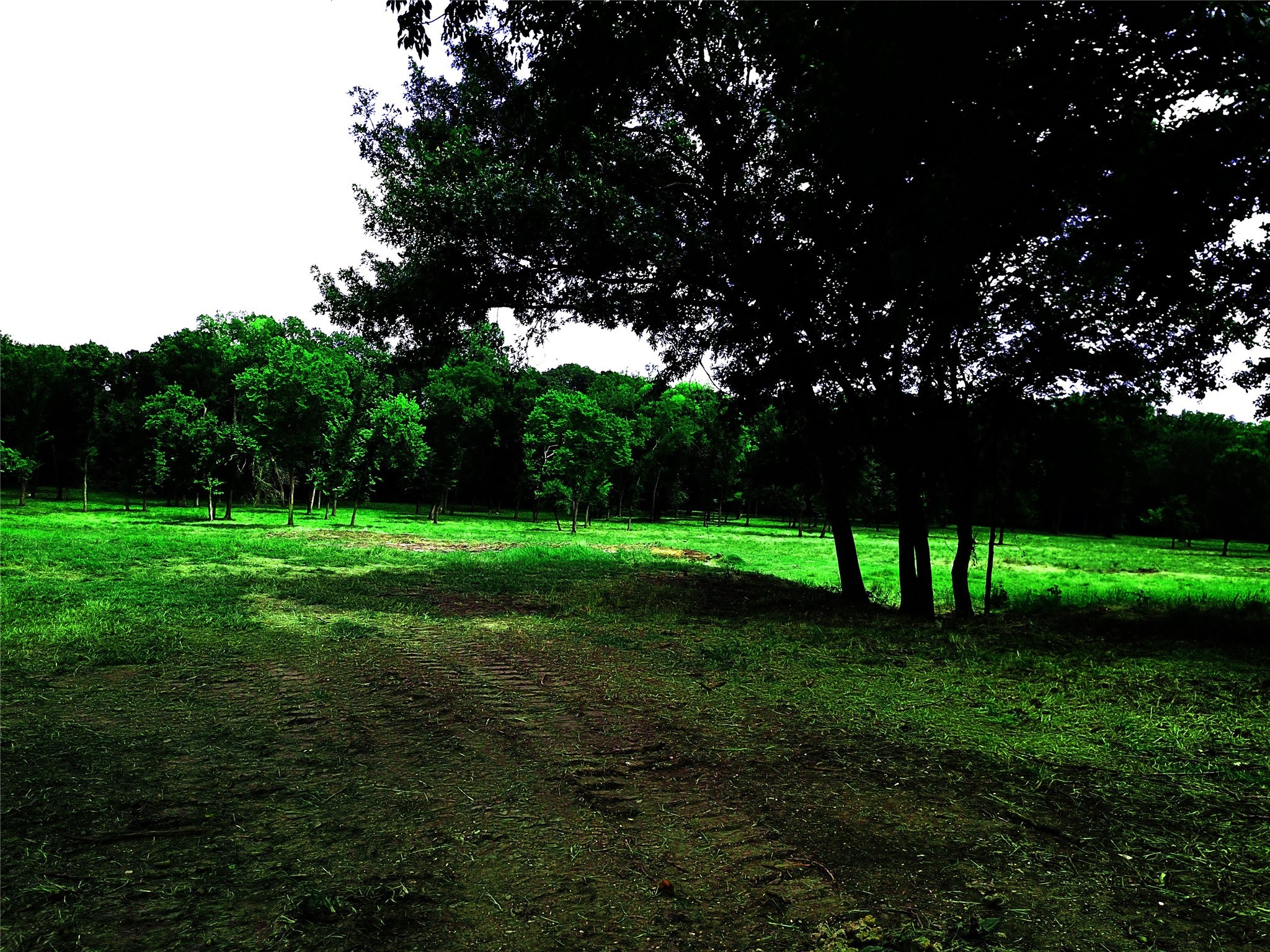 1800 North Lincoln Park Road Van Alstyne TX 75495