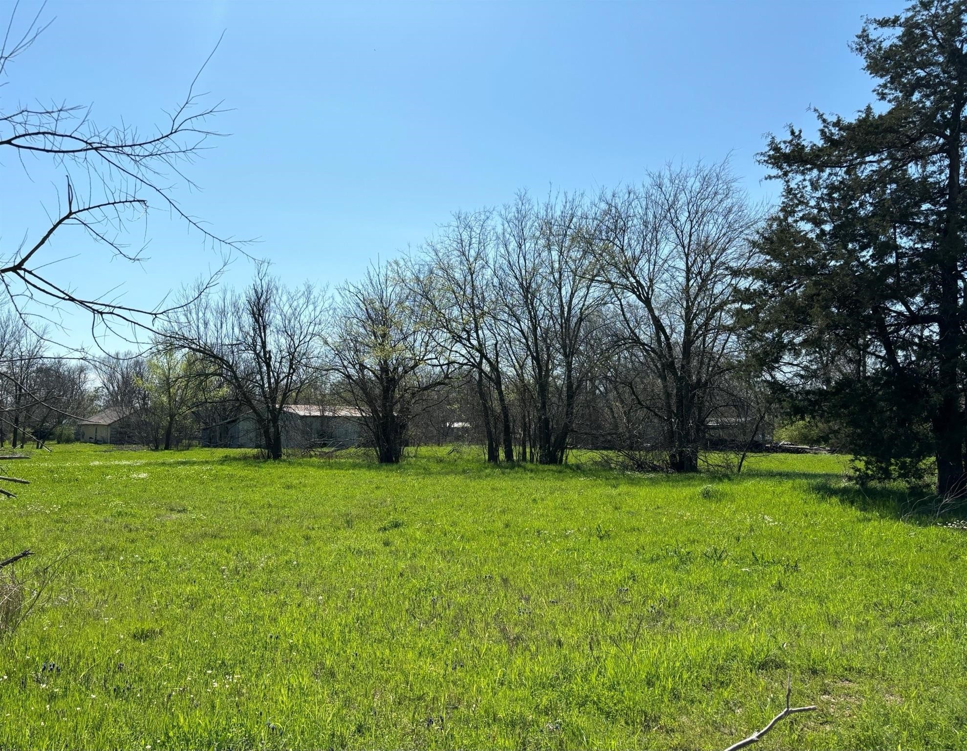 350 E San Antonio Avenue Cooper TX 75432