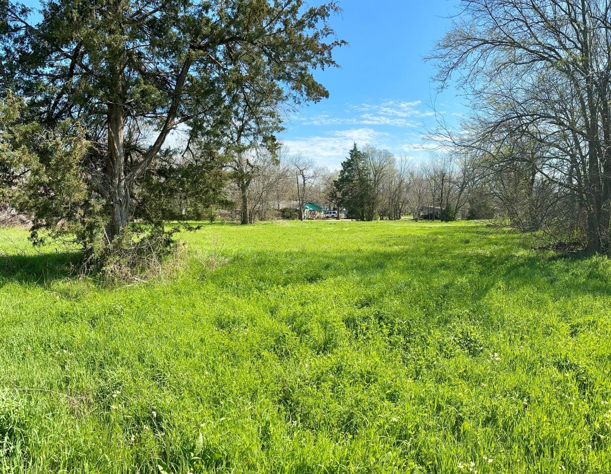 350 E San Antonio Avenue Cooper TX 75432