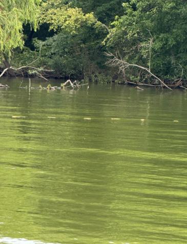 Lot 7 Cr 3732 Wills Point TX 75169