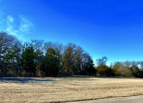 Lot 15 Dublin Circle Gordonville TX 76245