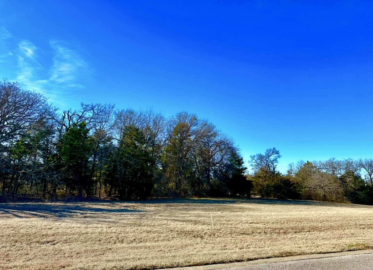 Lot 15 Dublin Circle Gordonville TX 76245