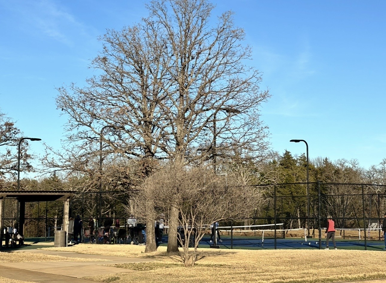 Lot 15 Dublin Circle Gordonville TX 76245
