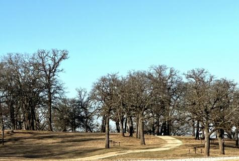 Lot 15 Dublin Circle Gordonville TX 76245
