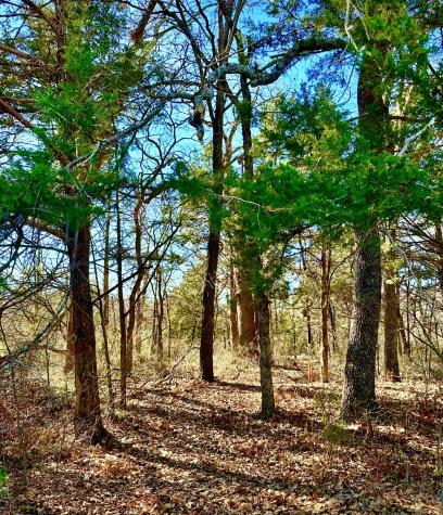 Lot 15 Dublin Circle Gordonville TX 76245