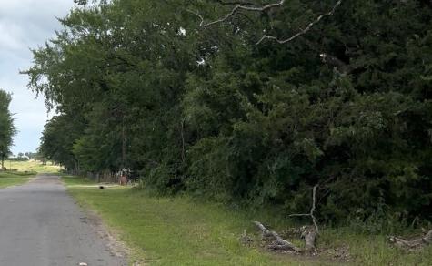 County Road 1805 Grand Saline TX 75140