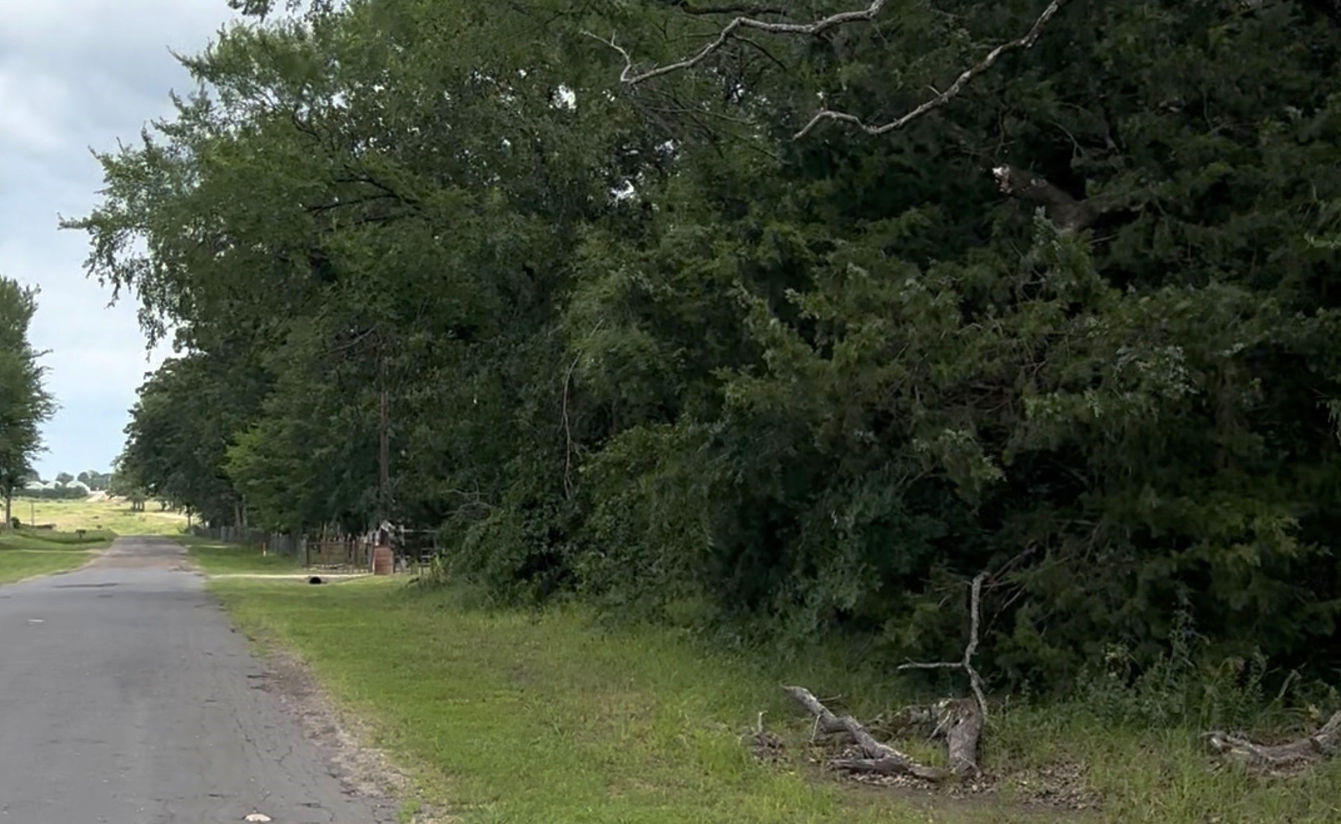 County Road 1805 Grand Saline TX 75140