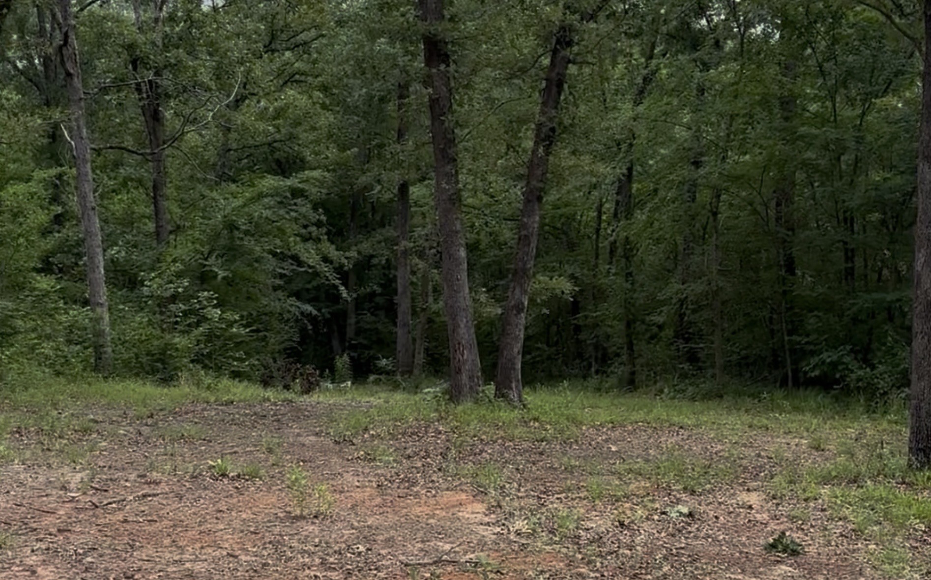 County Road 1805 Grand Saline TX 75140
