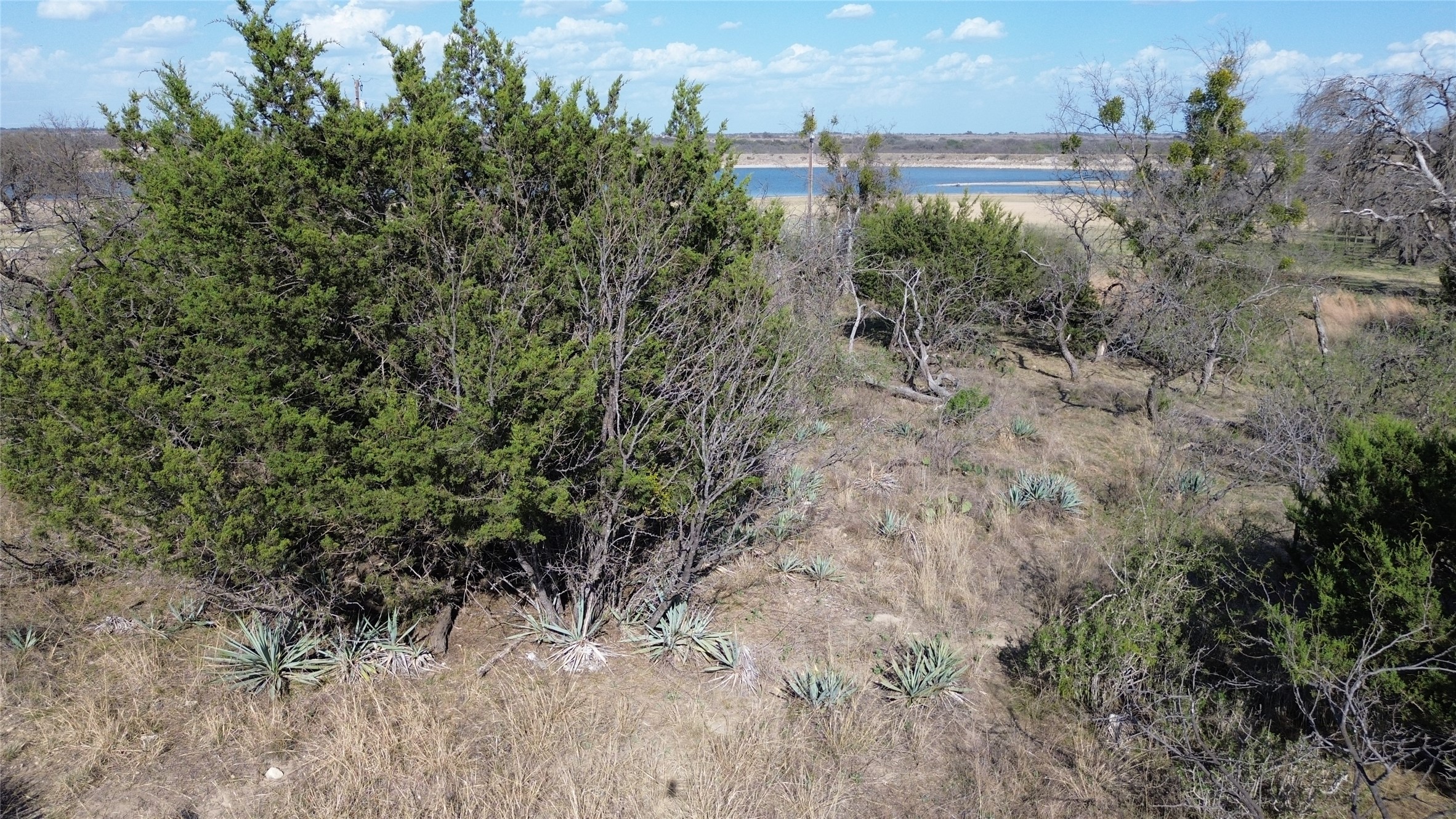 000 Lake Point Road Comanche TX 76442