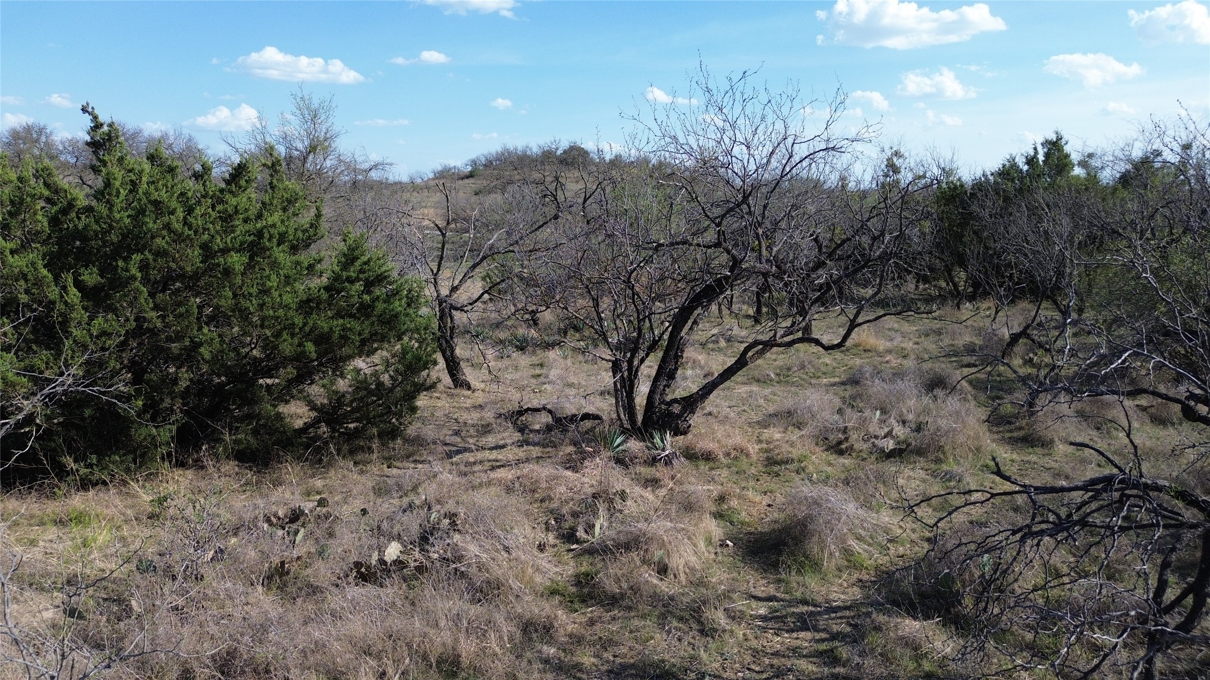 000 Lake Point Road Comanche TX 76442